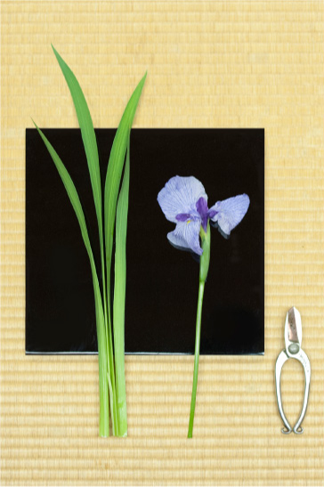 花を活けてみませんか?